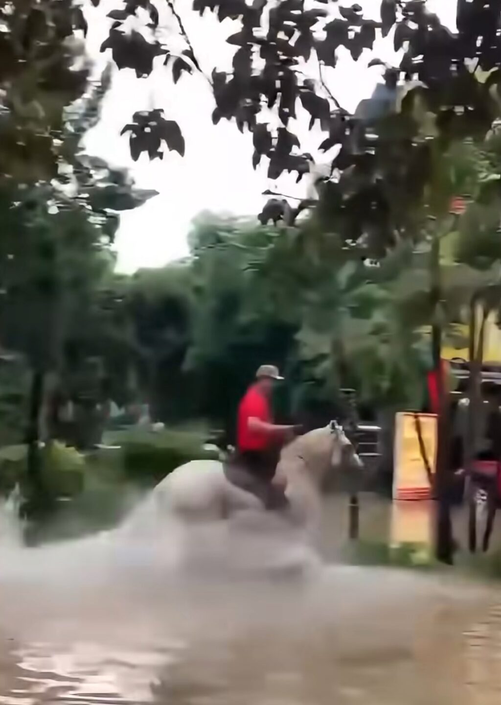 Gợi ý phương tiện di chuyển cho người Hà Nội mùa mưa 2 556823631 1227789796053508 289966530137660100 n