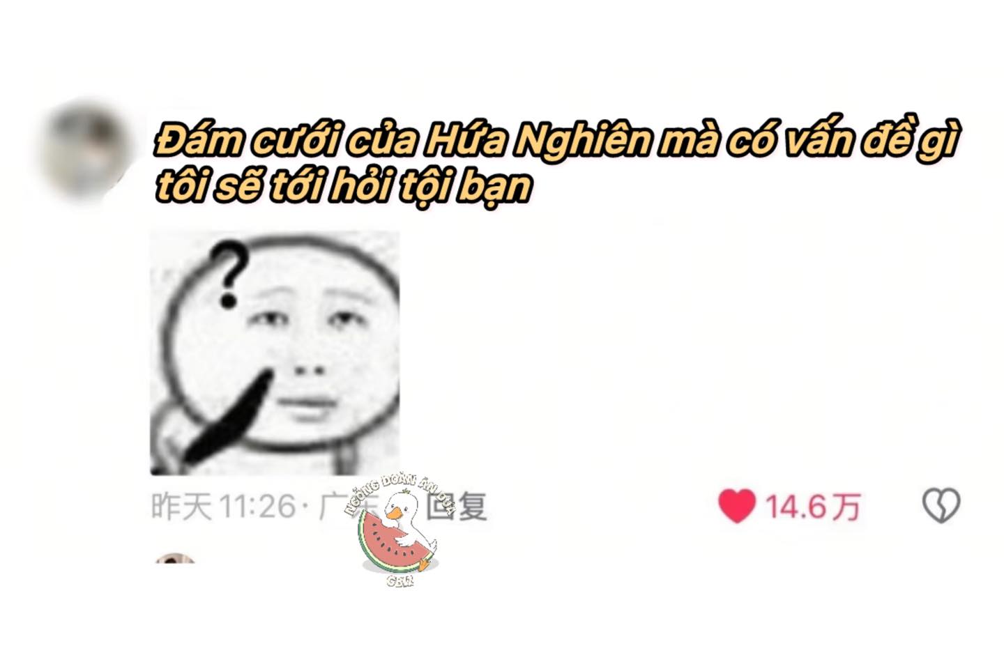 CNET Bất Ngờ Đồng Thanh Bảo Vệ Hứa Nghiên 3 556845971 772294145509824 7156496905240816515 n