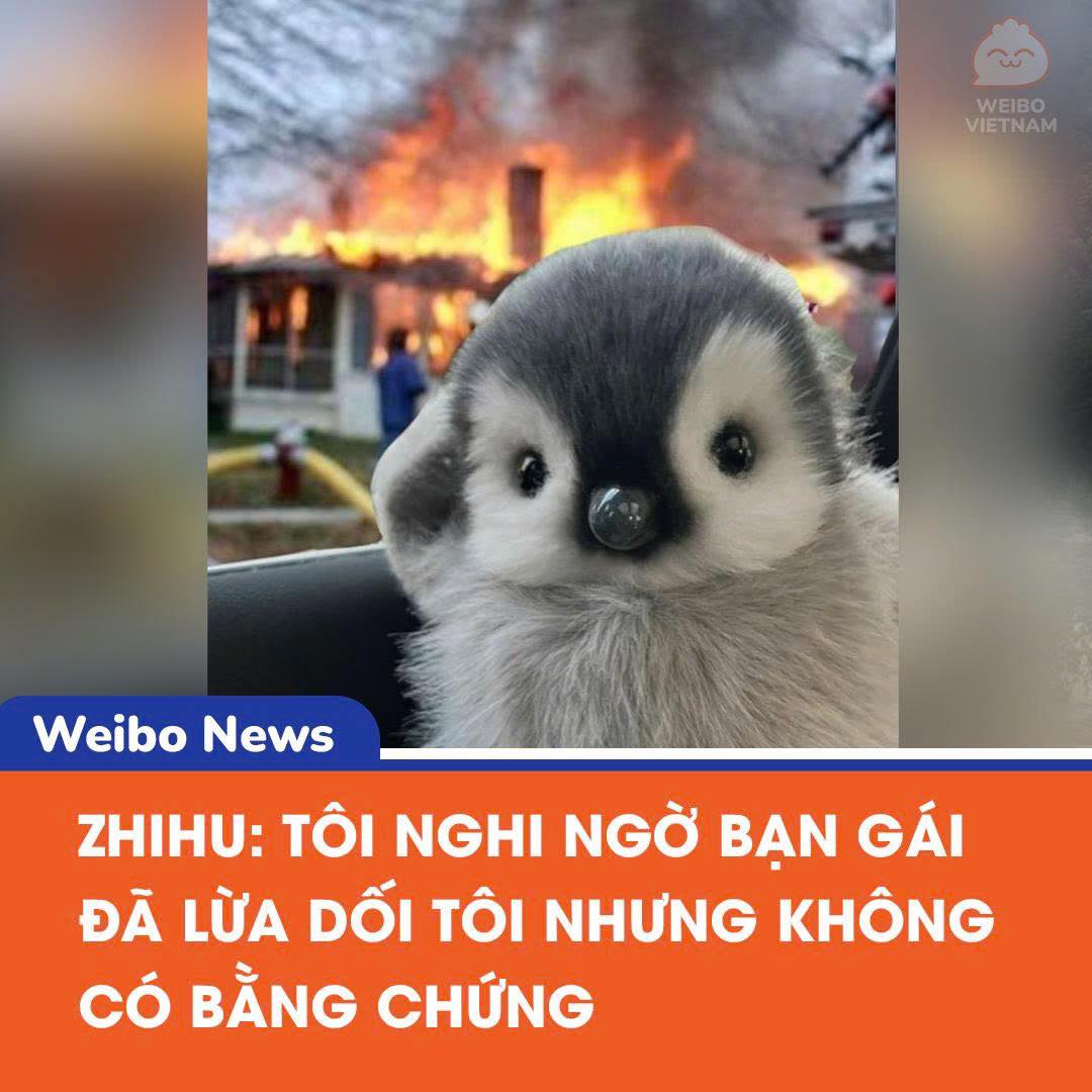 Nghi Ngờ Bạn Gái Lừa Dối Trước Ngày Cưới: Chàng Trai Phải Làm Gì? 2 556073748 1195374392623269 3761768970687043610 n