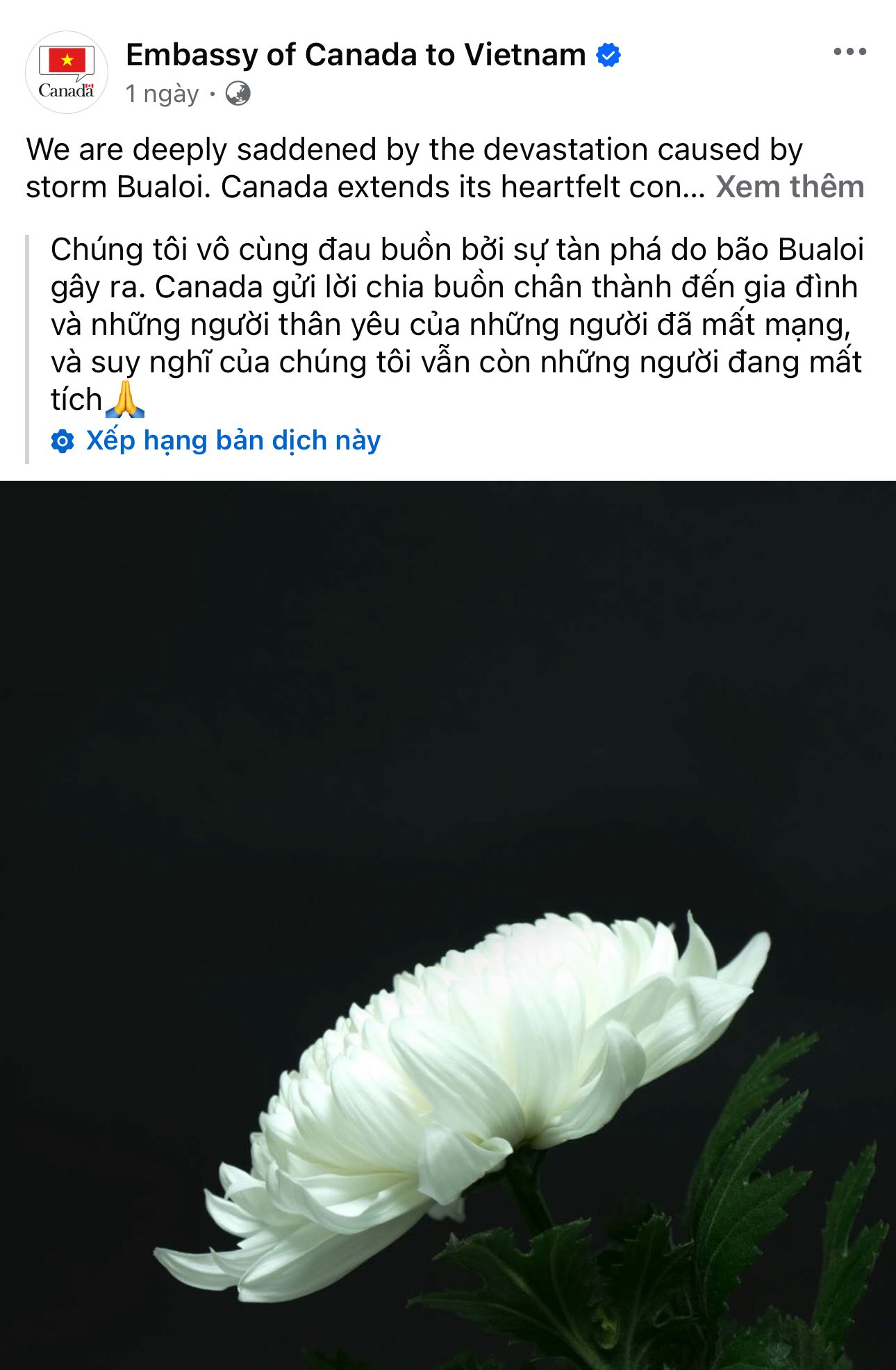Đại sứ quán nước ngoài chia buồn với nhân dân Việt Nam 5 556558609 1228487989317022 1073353081288389285 n