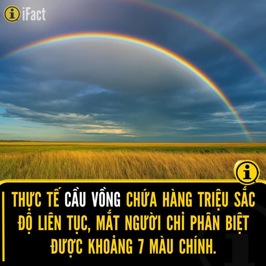 Cầu Vồng: Không Chỉ Có 7 Màu Như Bạn Nghĩ! 2 556714394 1230164355816052 3107864873310087003 n