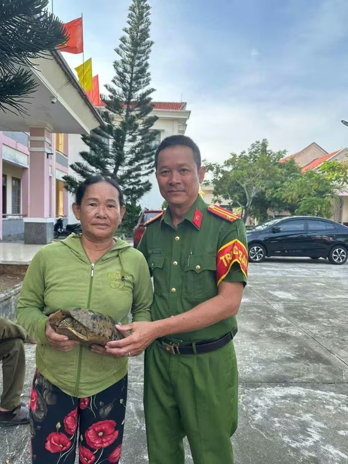 Phát hiện rùa quý hiếm khi đi hái rau tại Đà Nẵng 2 556841593 1131006129124816 74603252416567127 n