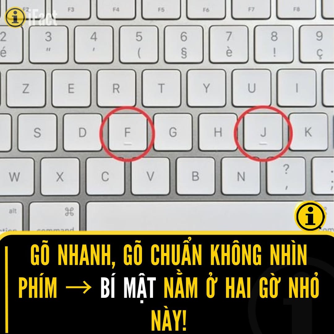 Tại sao phím F và J lại có gờ nhỏ trên bàn phím? 2 556953463 1230497512449403 245795588602709175 n