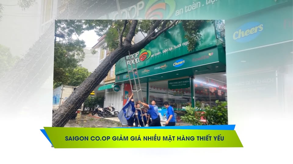 Khuyến mãi lớn tại Saigon Co.op: Giảm giá tới 33%! 2 557356170 1139799090841085 6816244156168007840 n