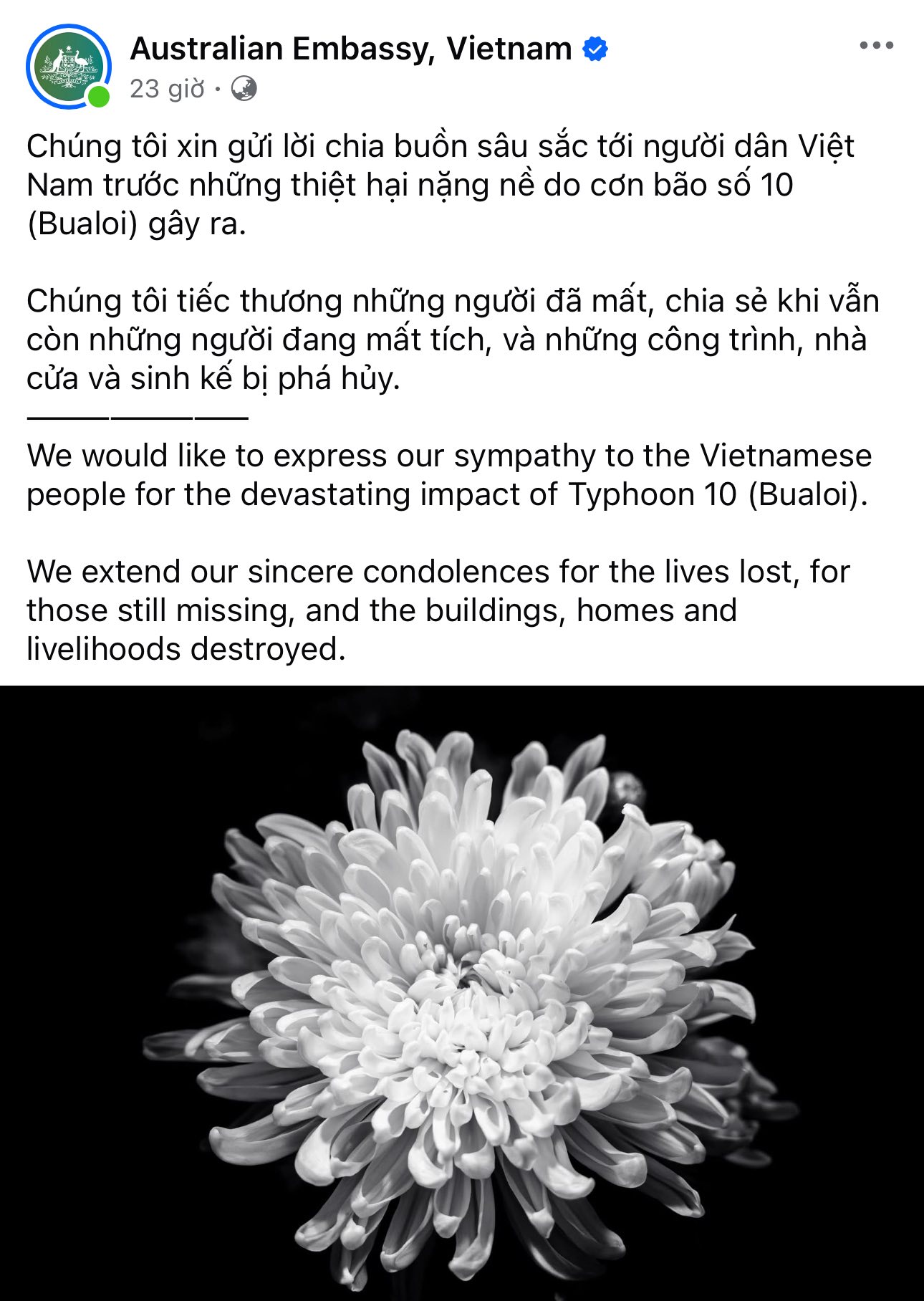Đại sứ quán nước ngoài chia buồn với nhân dân Việt Nam 3 557588221 1228487942650360 6986709341373720639 n
