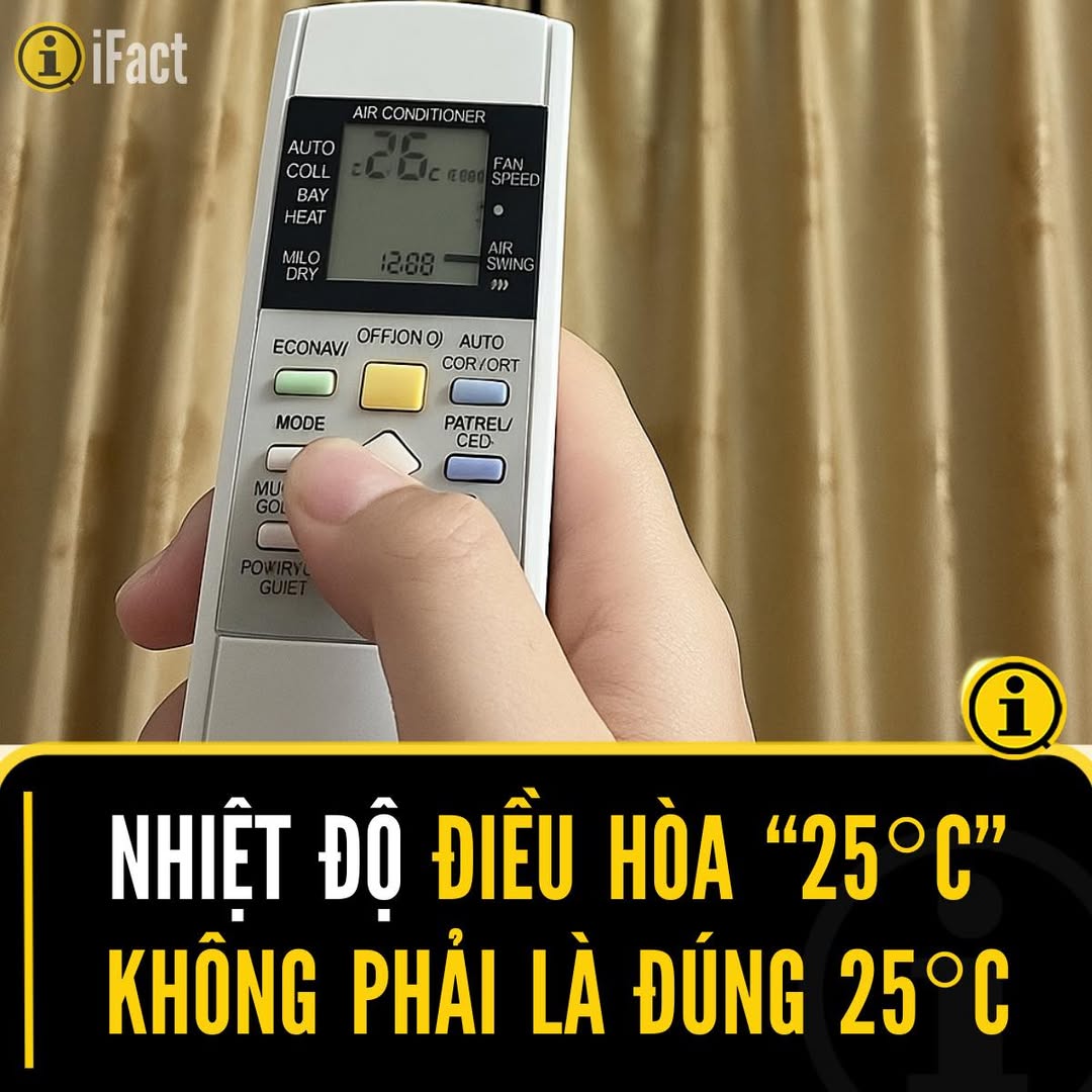 557601434 1229476945884793 3472349281571727391 n