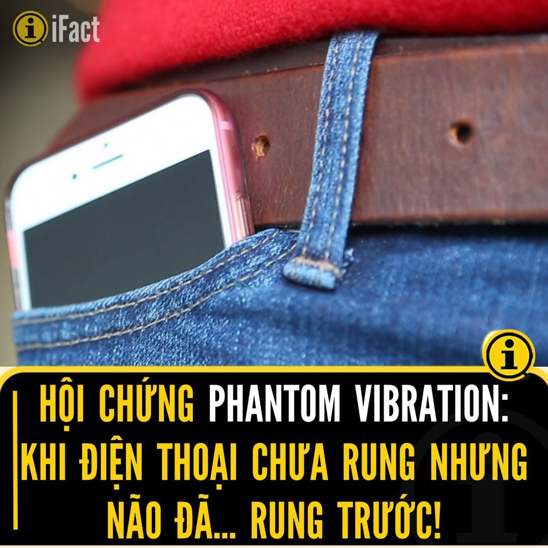 Hiện tượng rung ảo: Khi não tự lừa dối bản thân 2 557625802 1228593075973180 4577361268227485269 n