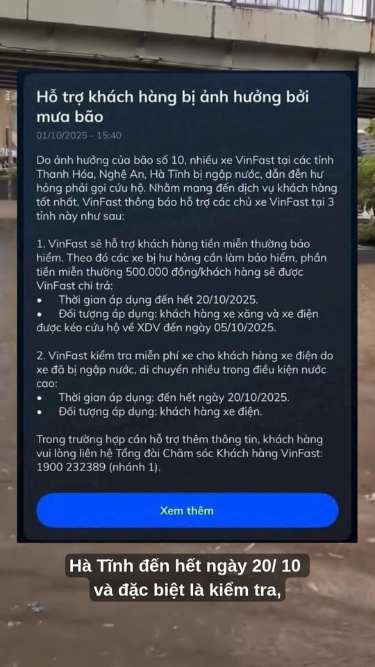 557741302 1229044742579276 564655931996953407 n