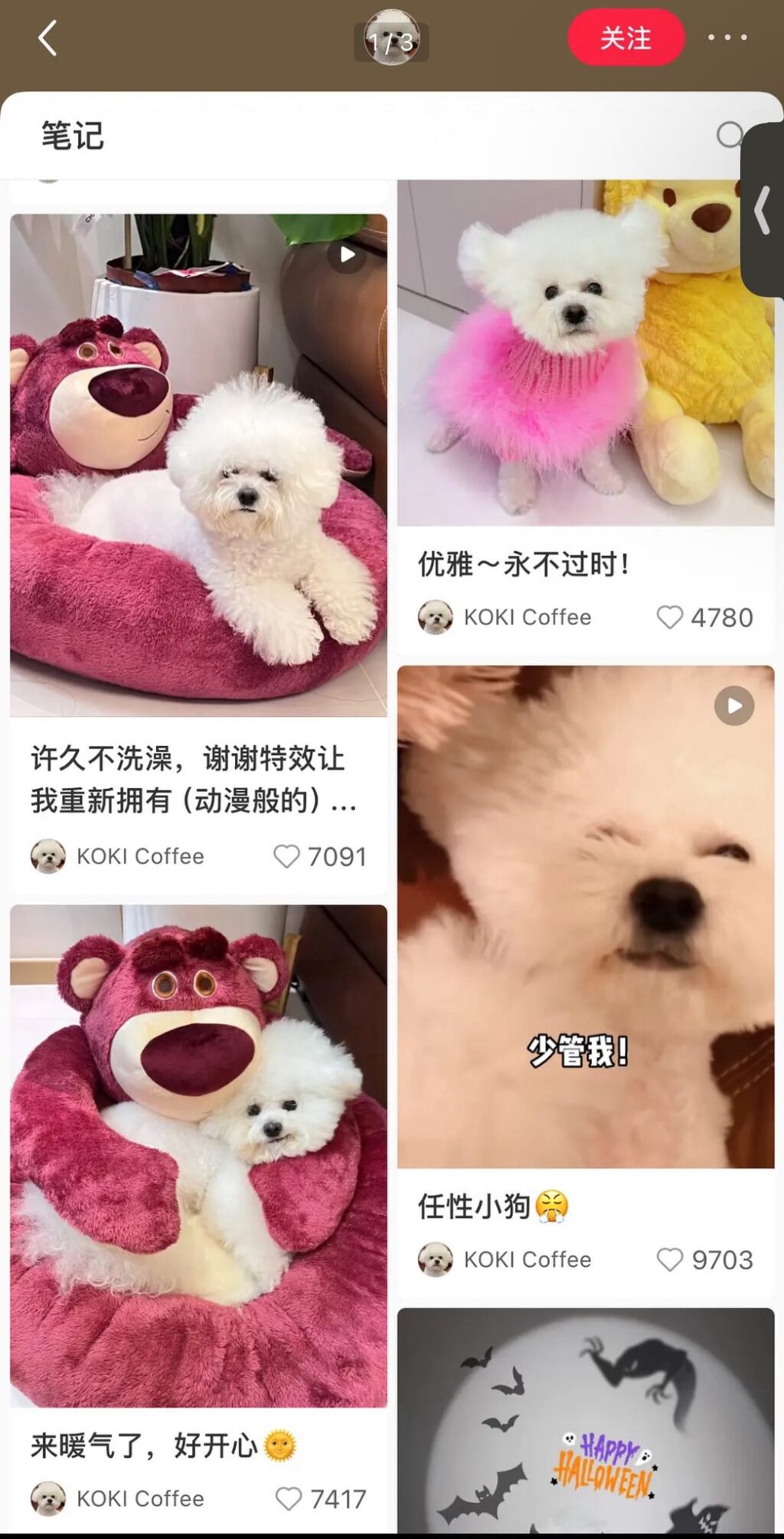 Người hâm mộ xôn xao với câu chuyện của Ngu Thư Hân và chú chó Koki 2 558822286 1192718886247749 2207660151410851977 n