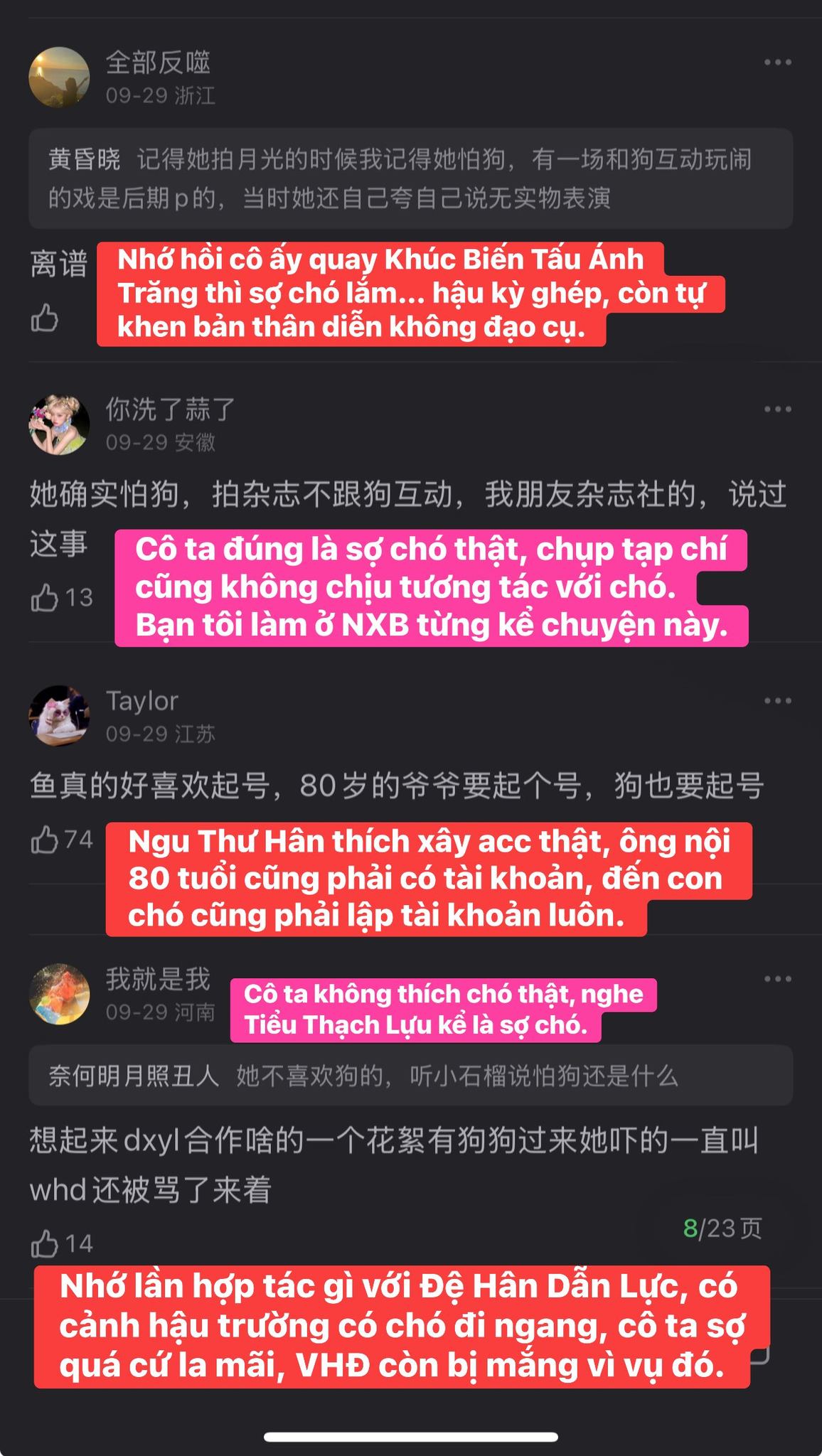 Người hâm mộ xôn xao với câu chuyện của Ngu Thư Hân và chú chó Koki 5 558870186 1192708426248795 6356581748882881570 n