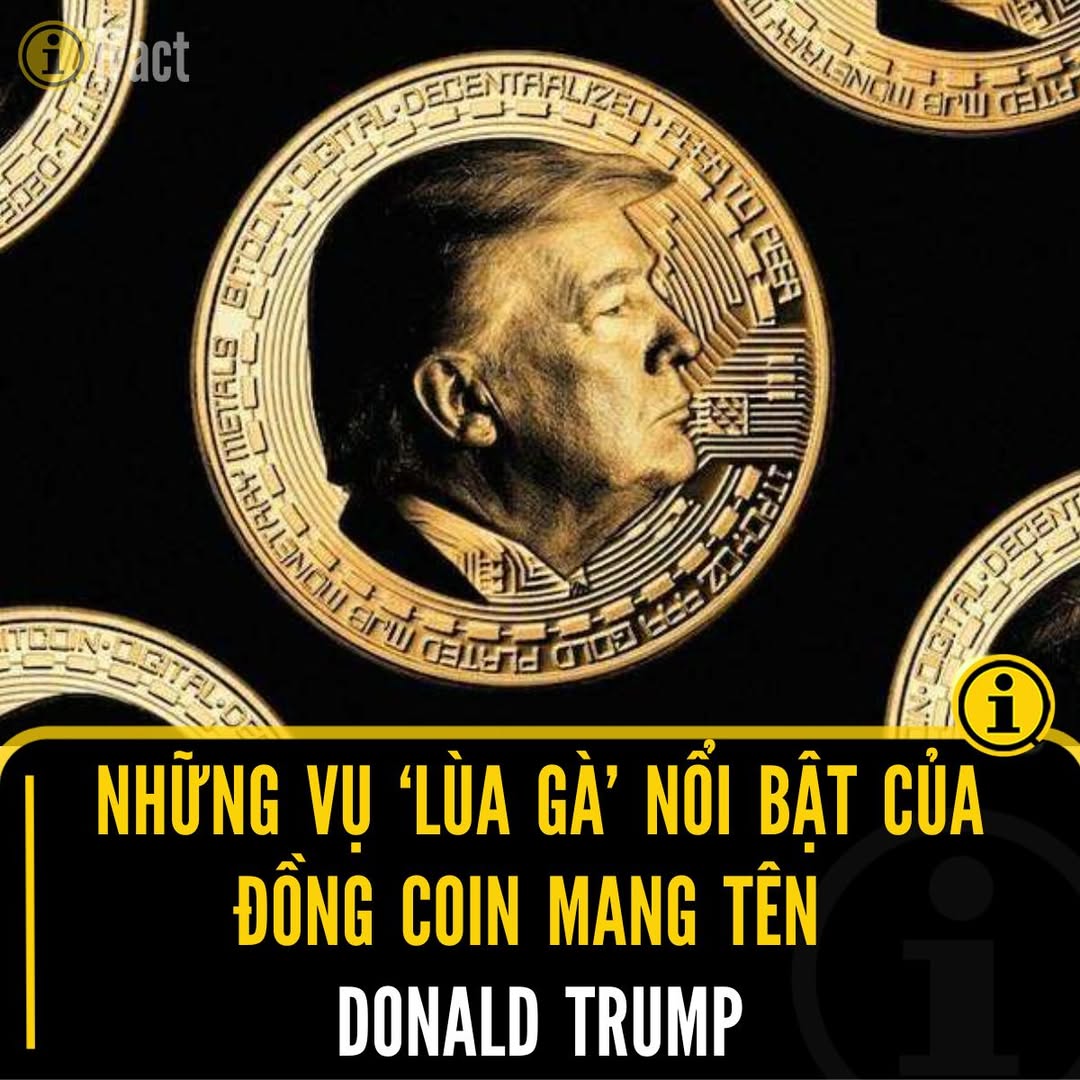 Thiệt hại khổng lồ từ đồng coin liên quan Donald Trump 2 558893147 1237323788433442 1640056013237766258 n