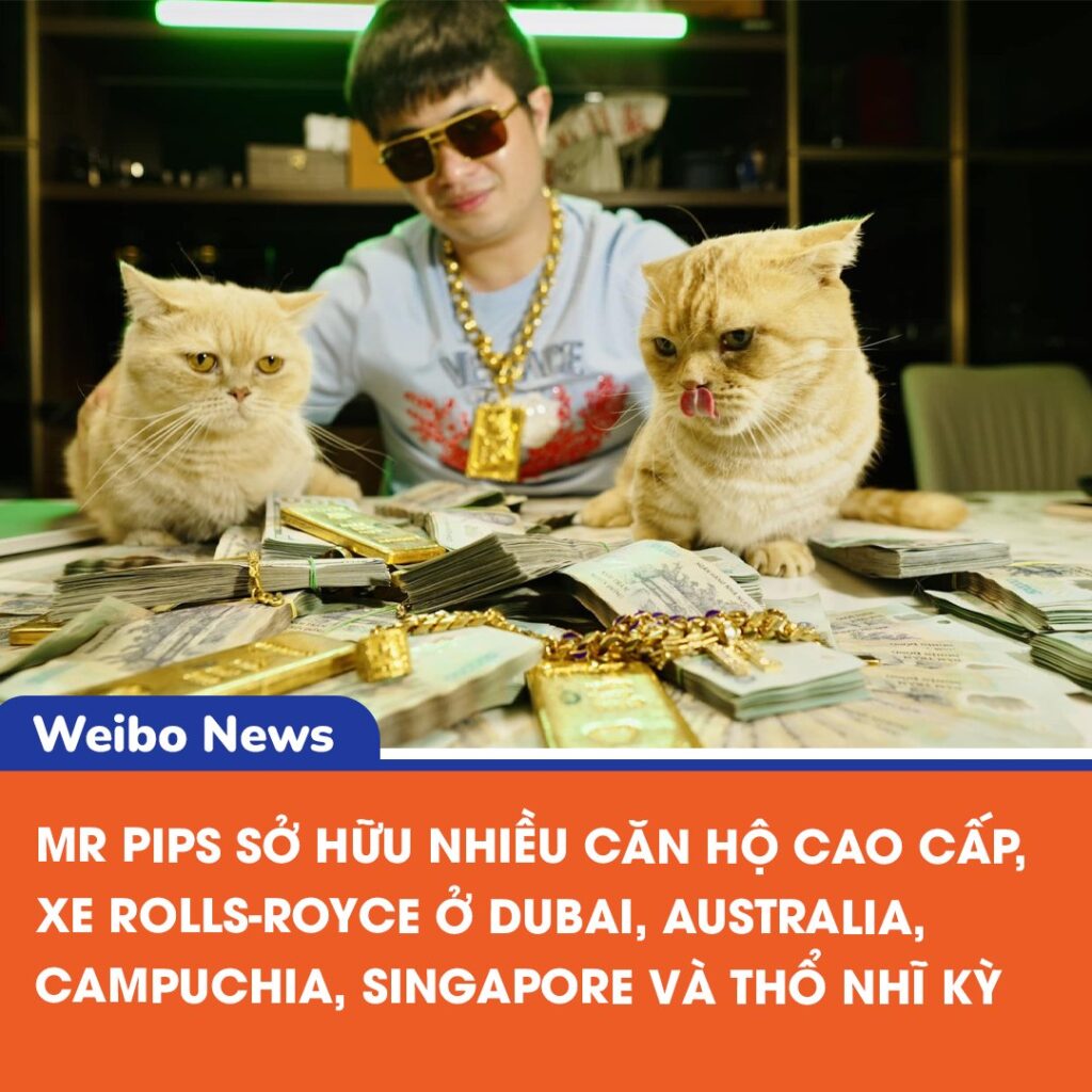 Công an Hà Nội điều tra tài sản khổng lồ của Mr. Pips 2 558903007 1199647972195911 792542199219182550 n