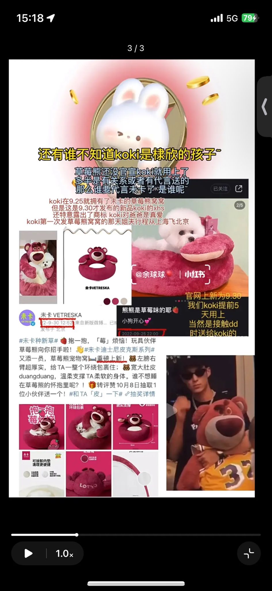 Người hâm mộ xôn xao với câu chuyện của Ngu Thư Hân và chú chó Koki 4 558943614 1192718882914416 1228502772671601001 n