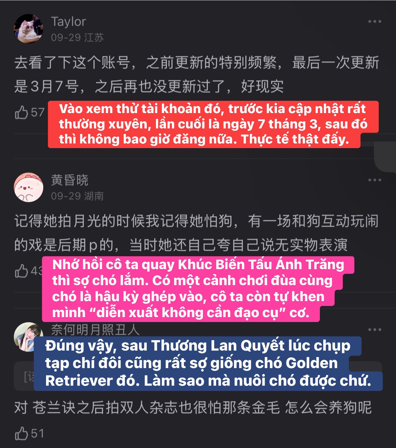 Người hâm mộ xôn xao với câu chuyện của Ngu Thư Hân và chú chó Koki 6 558954617 1192705719582399 3475756841949062351 n