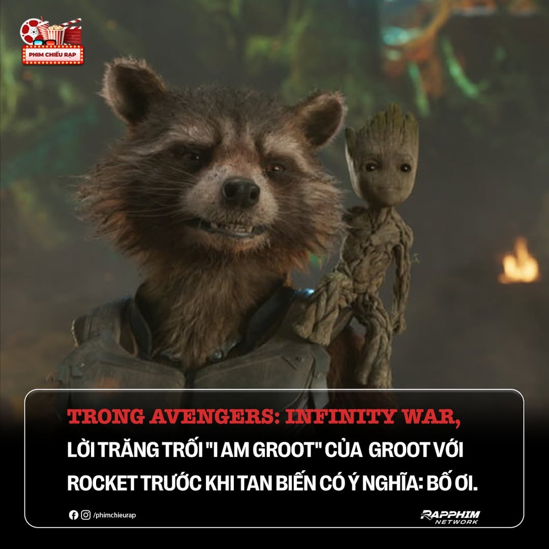 Ý Nghĩa Lời Trăng Trối Của Groot Với Rocket Trong Avengers: Infinity War 2 558990101 781258101425994 3127200534556899824 n