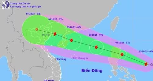 Bão Matmo đổ bộ Biển Đông, cảnh báo sóng cao tới 6m 2 559046658 1229520812547073 939364402277629564 n