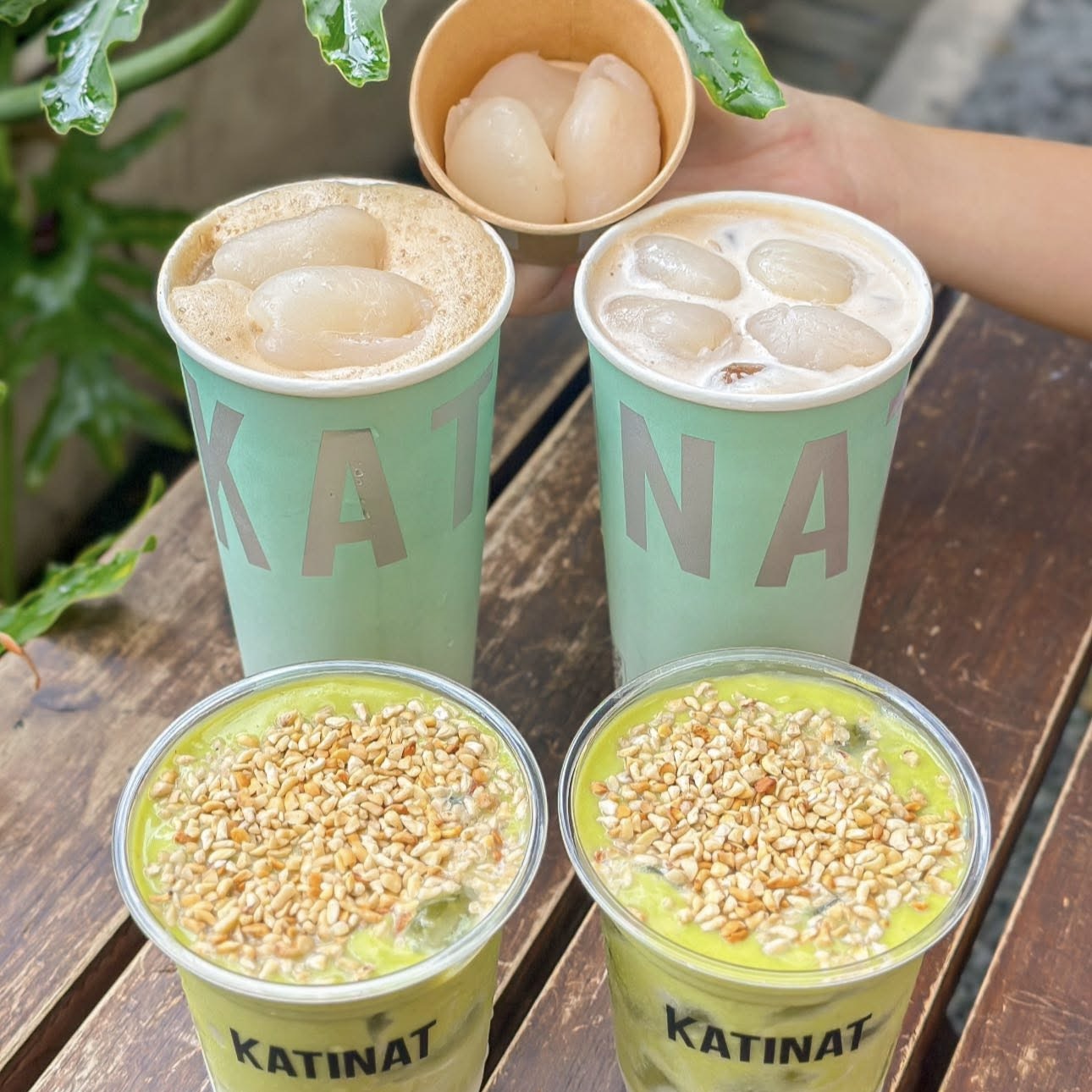 Khám Phá Combo Bơ Già và Trà Sữa Chôm Chôm Tại Katinat 6 559131614 827162443161153 8115330741586003487 n