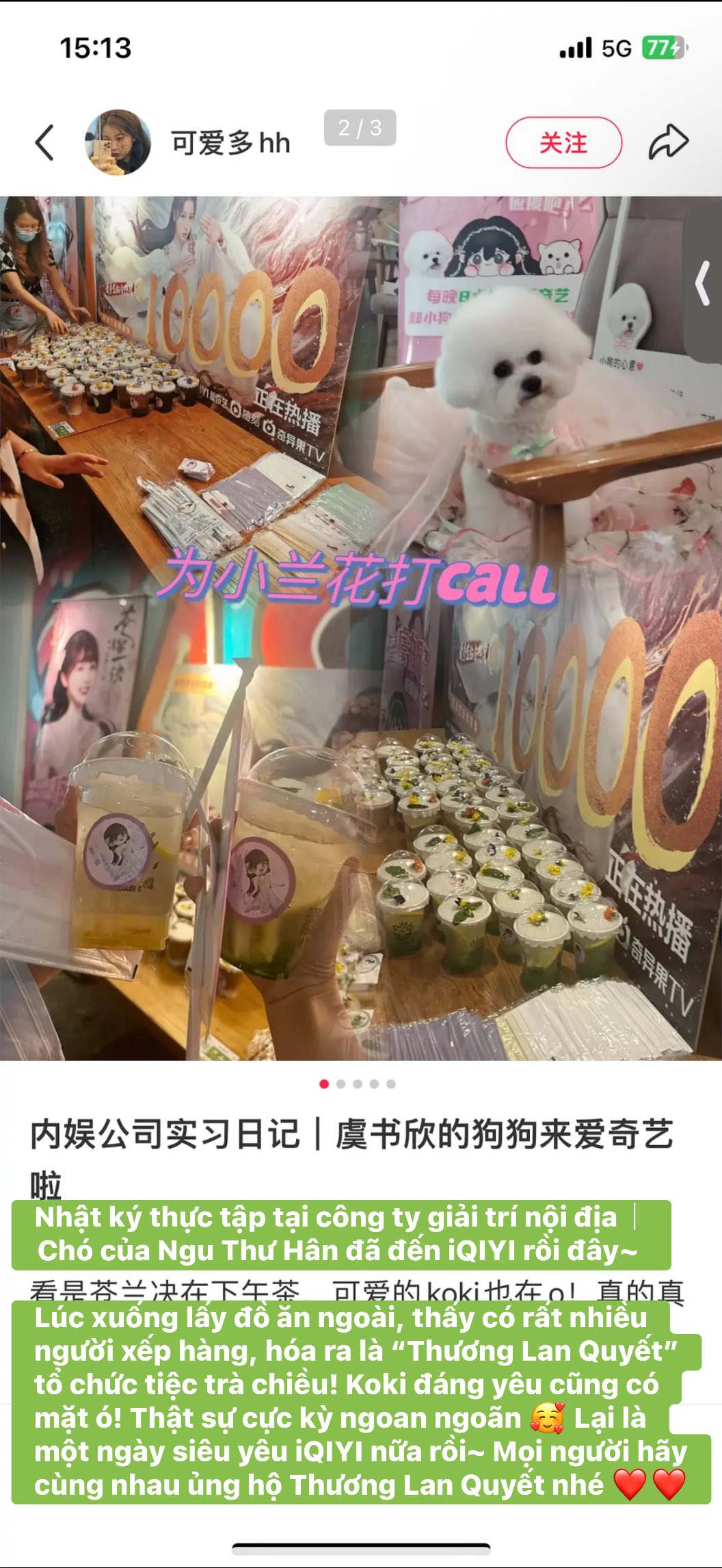 Người hâm mộ xôn xao với câu chuyện của Ngu Thư Hân và chú chó Koki 3 559648202 1192697042916600 2767551510371851342 n