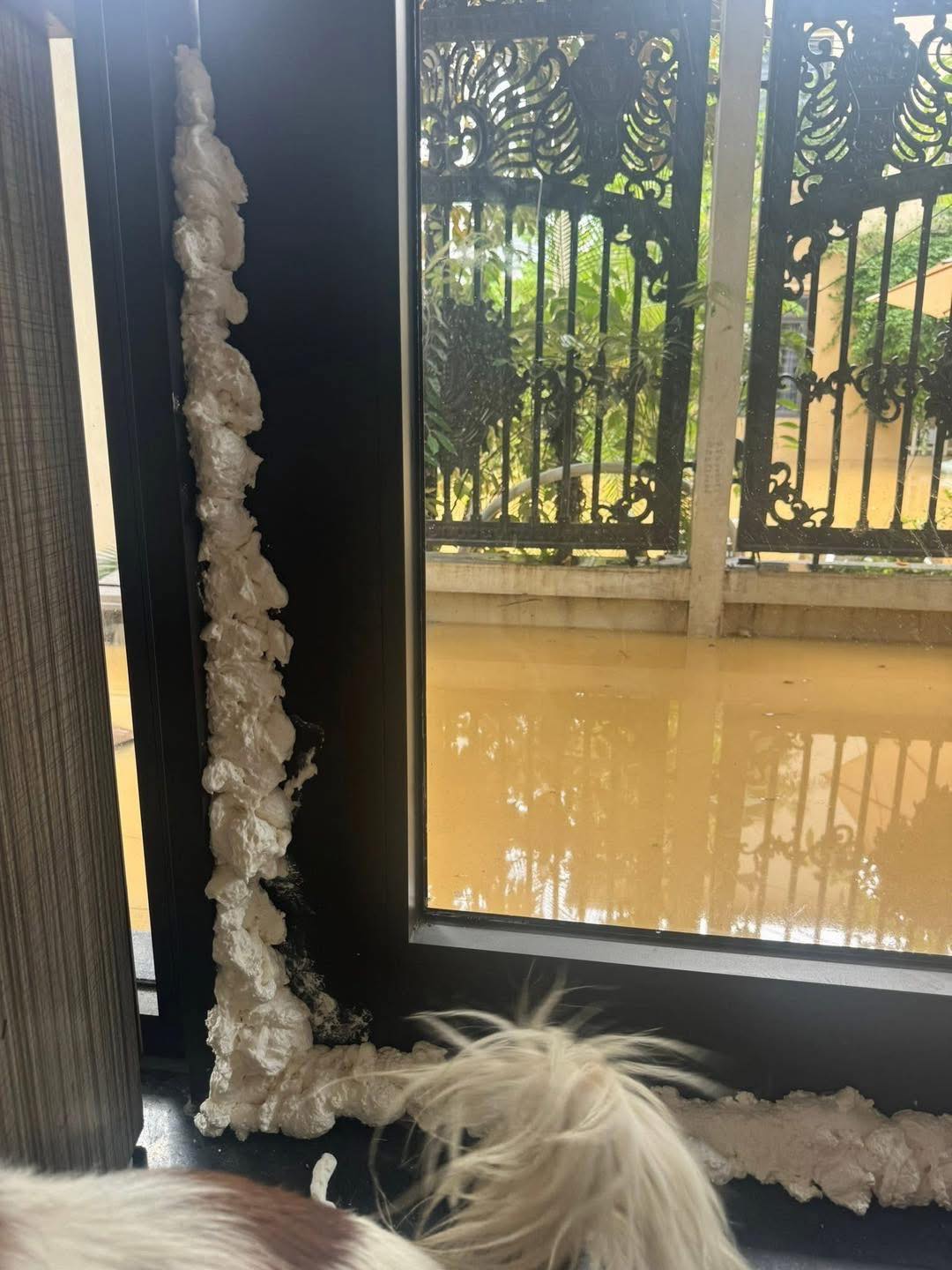 Giải pháp độc đáo chống ngập úng với foam xịt 4 559857332 1233310928827464 9214603457719589951 n