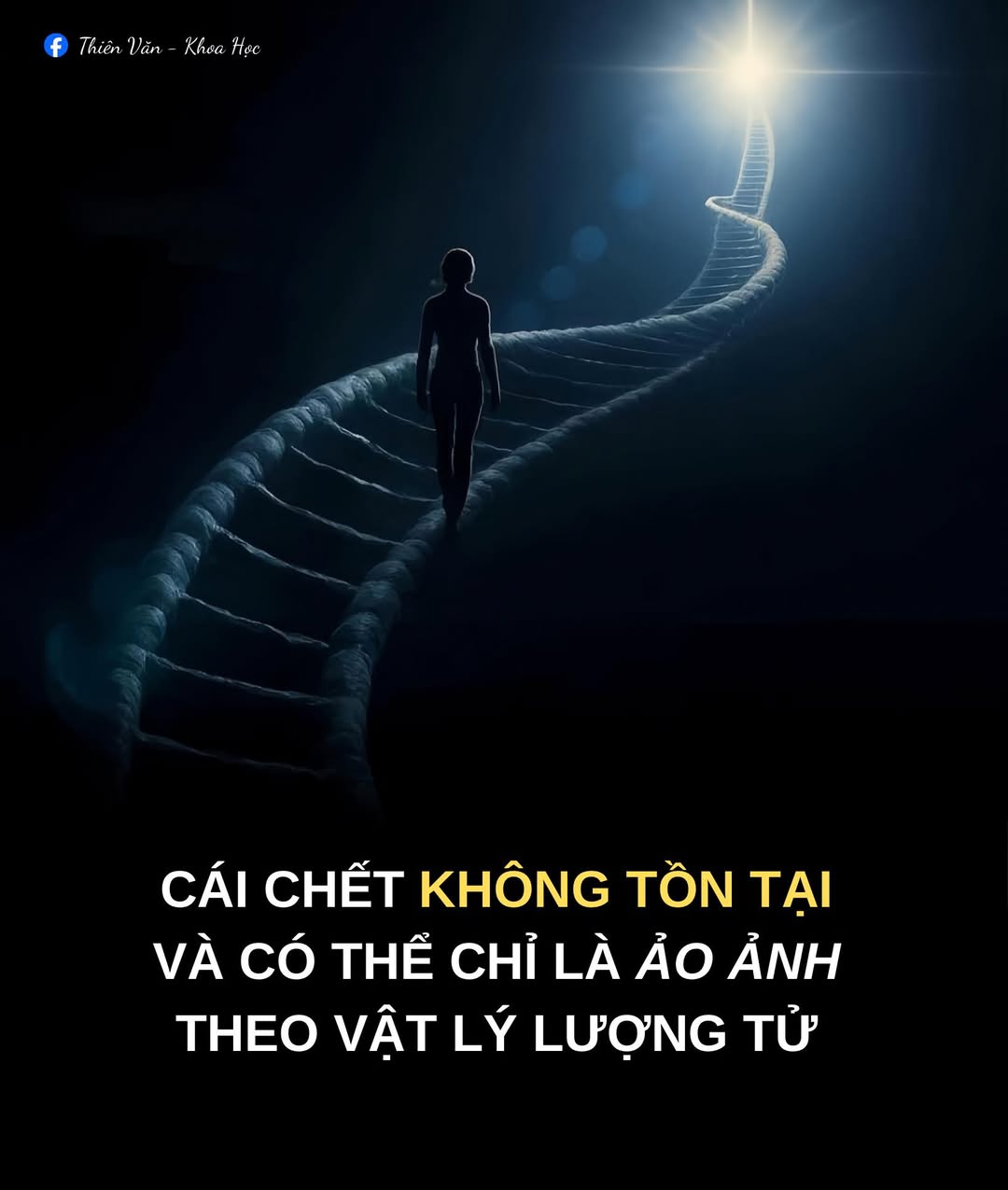 559934809 1206661148149820 9212741858015600485 n