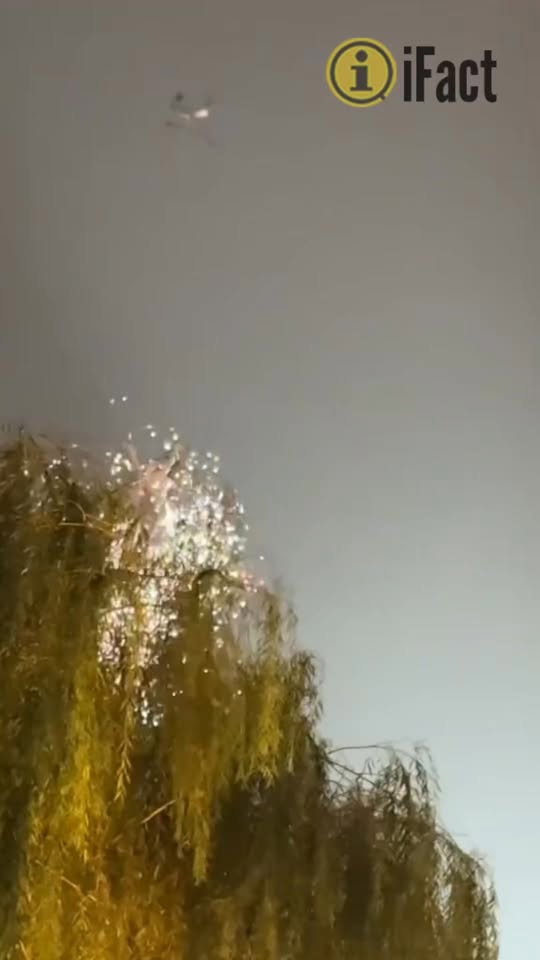561341539 1647532372882082 6107186441255473435 n